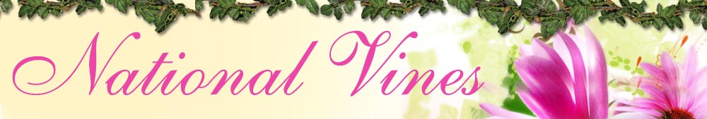 National Vines